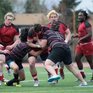 Meet your Posher, Austin